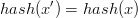 hash(x')=hash(x)